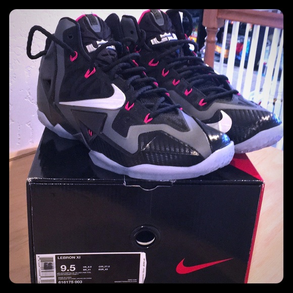 Nike Other - Lebron James Kicks